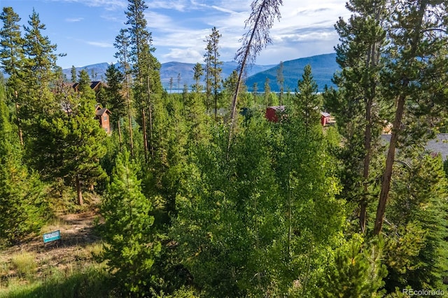 220 Gcr 4571, Grand Lake, CO 80447 - photo 9