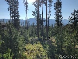 220 Gcr 4571, Grand Lake, CO 80447 - photo 11