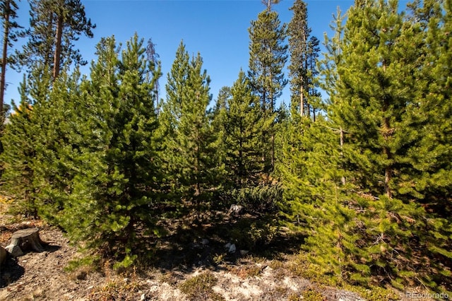 220 Gcr 4571, Grand Lake, CO 80447 - photo 15