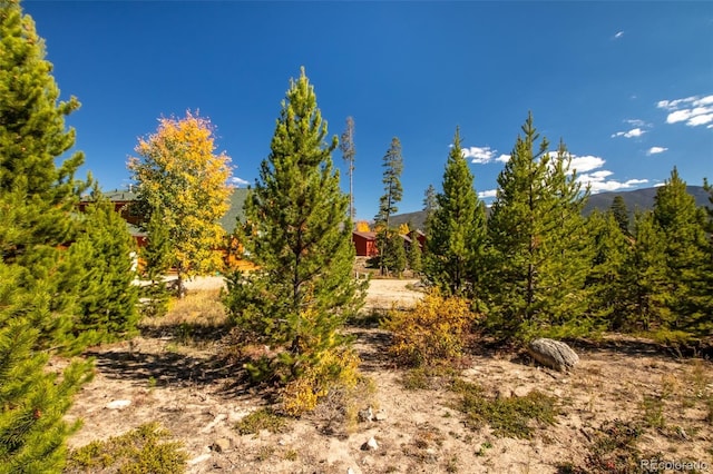 220 Gcr 4571, Grand Lake, CO 80447 - photo 17
