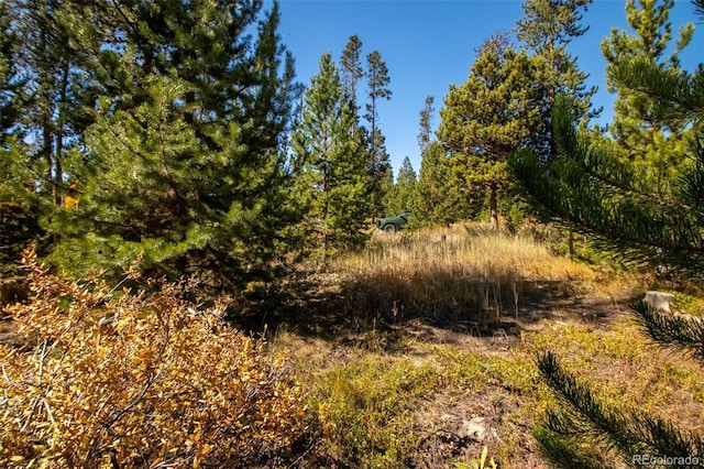 220 Gcr 4571, Grand Lake, CO 80447 - photo 19