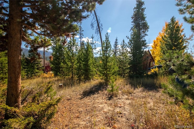 220 Gcr 4571, Grand Lake, CO 80447 - photo 21