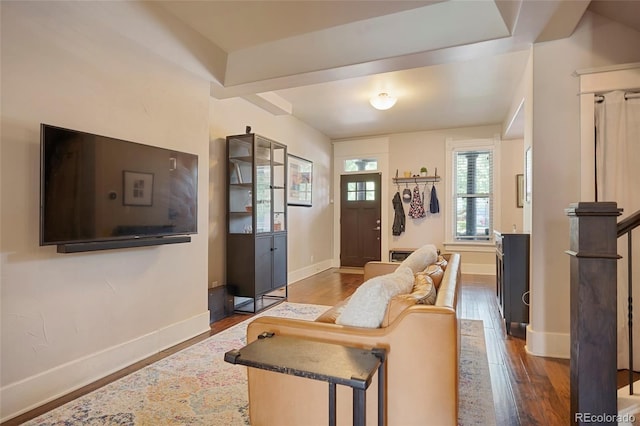 living room featuring hardwood / wood-style flooring