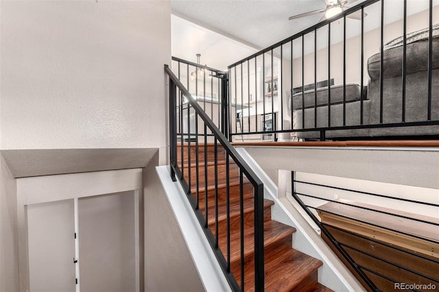 9162 Everett St, Broomfield, CO 80021 - photo 5