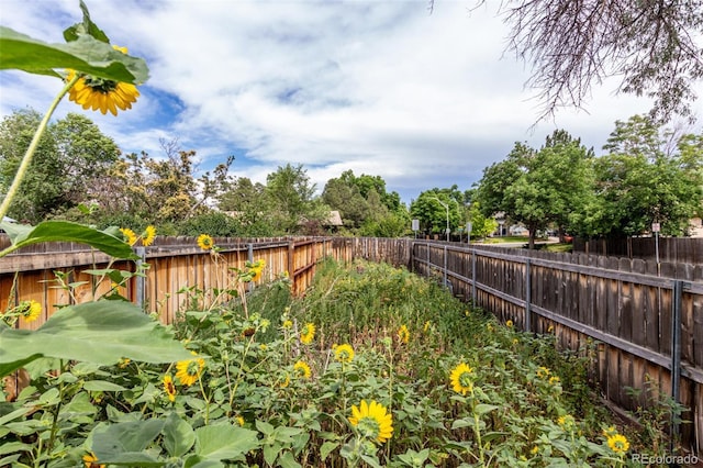 9162 Everett St, Broomfield, CO 80021 - photo 33