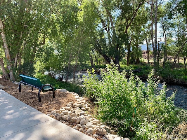 view of community with a water view