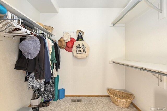 7209 W 21st St, Greeley, CO 80634 - photo 10