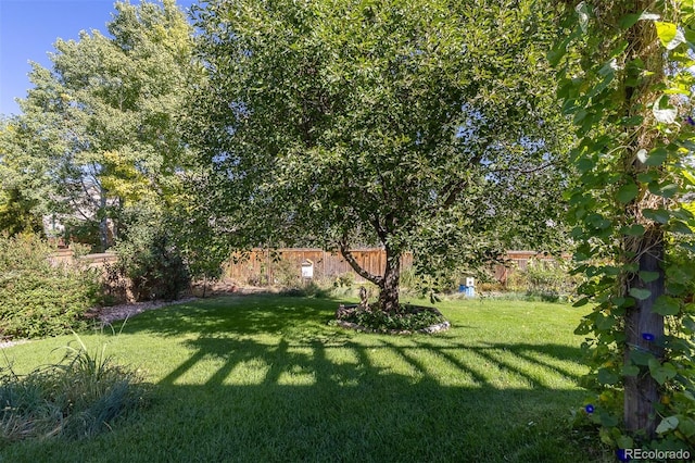 7209 W 21st St, Greeley, CO 80634 - view of yard