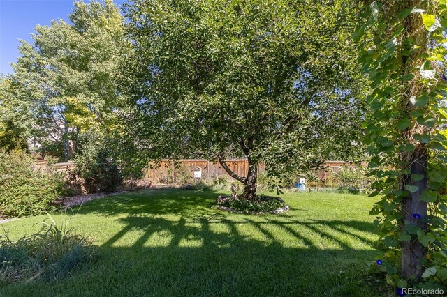 7209 W 21st St, Greeley, CO 80634 - photo 14