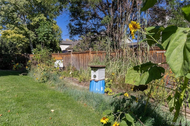7209 W 21st St, Greeley, CO 80634 - view of yard