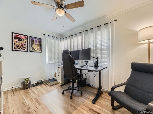 home office with light wood-type flooring, ceiling fan, and ornamental molding