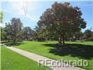 view of community featuring a yard