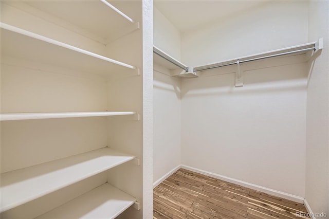 2902 W Long Cir Unit B, Littleton, CO 80120 - walk in closet with hardwood / wood-style flooring