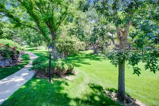 2902 W Long Cir Unit B, Littleton, CO 80120 - view of community with a yard
