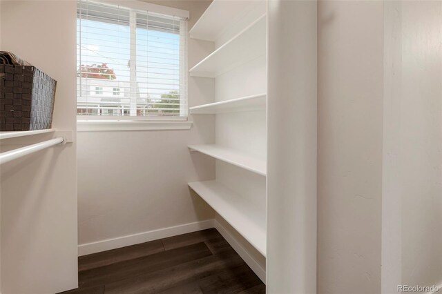 spacious closet featuring dark hardwood / wood-style floors