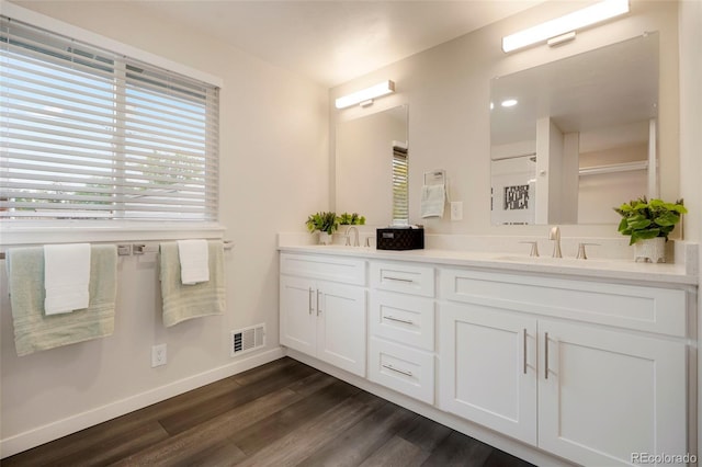 bathroom featuring wood-type flooring and vanity