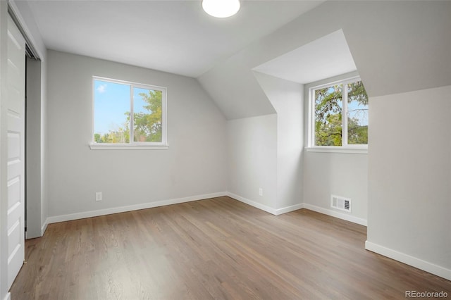 additional living space with wood-type flooring, a wealth of natural light, and vaulted ceiling