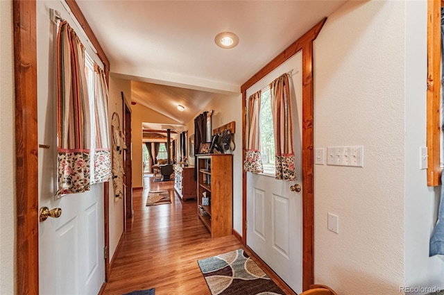 interior space featuring vaulted ceiling, light wood-type flooring, a healthy amount of sunlight, and baseboards