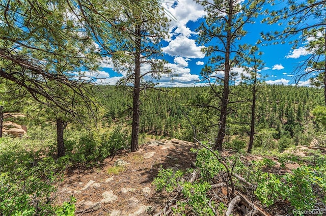 view of local wilderness featuring a view of trees