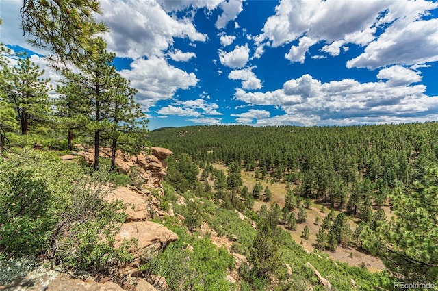 view of local wilderness featuring a forest view