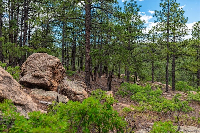 view of local wilderness with a view of trees