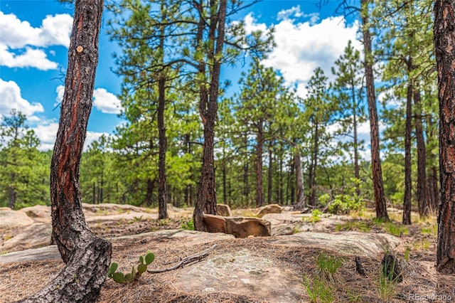 view of nature with a wooded view