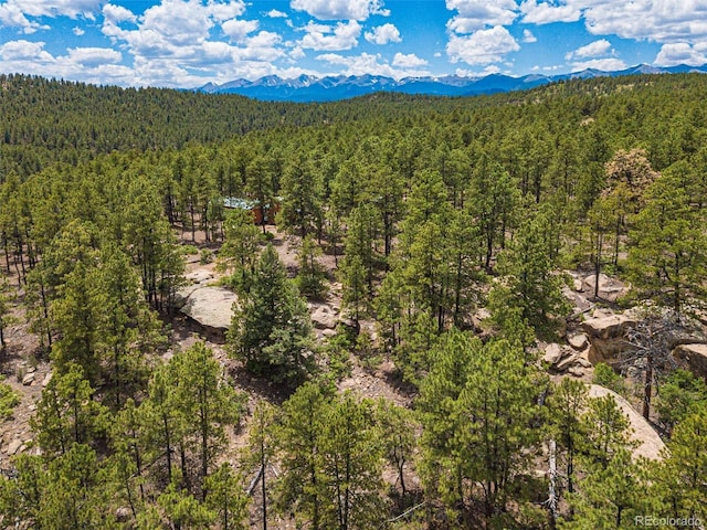 birds eye view of property featuring a mountain view and a wooded view