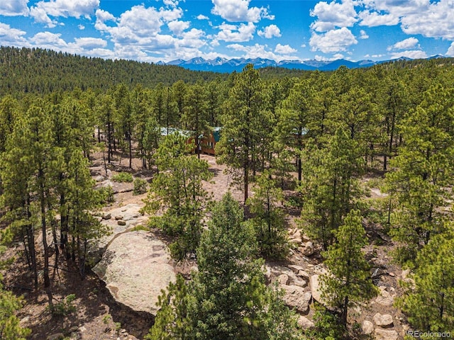 birds eye view of property featuring a forest view and a mountain view