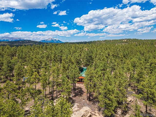 bird's eye view with a forest view and a mountain view