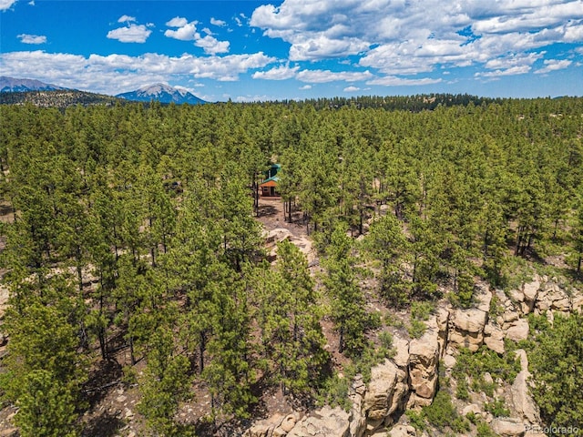 bird's eye view featuring a mountain view and a wooded view