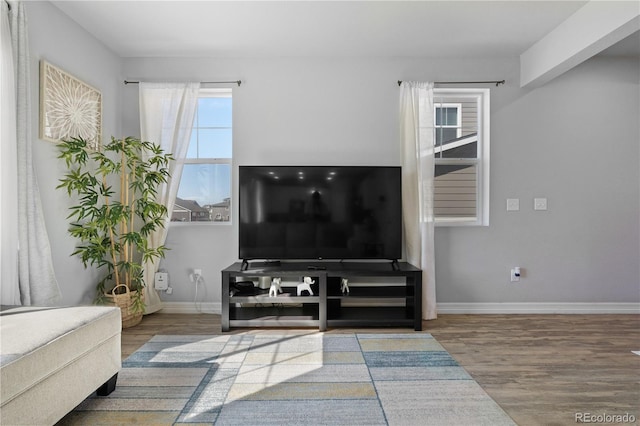 living room featuring baseboards and wood finished floors