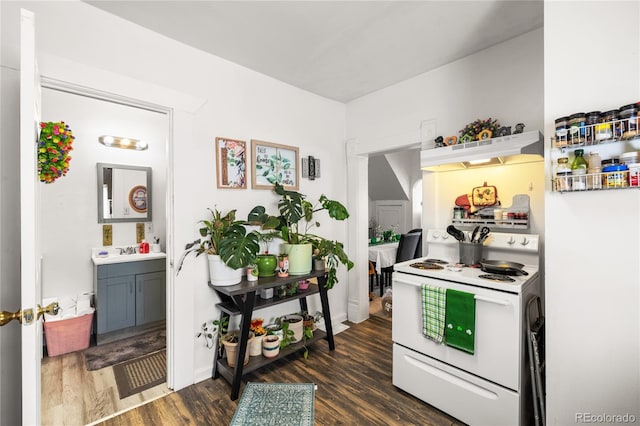 609 W 8th St Unit 611, Pueblo, CO 81003 - kitchen featuring white electric stove, dark wood finished floors, under cabinet range hood, a sink, and baseboards