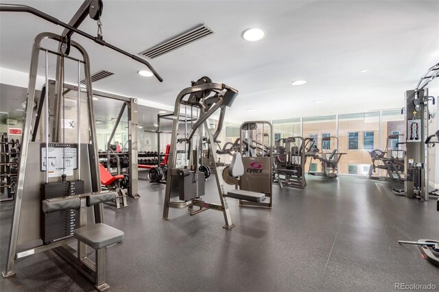 1700 Bassett St Unit 1102, Denver, CO 80202 - gym featuring recessed lighting