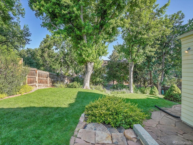 6844 S Detroit Cir, Centennial, CO 80122 - view of yard