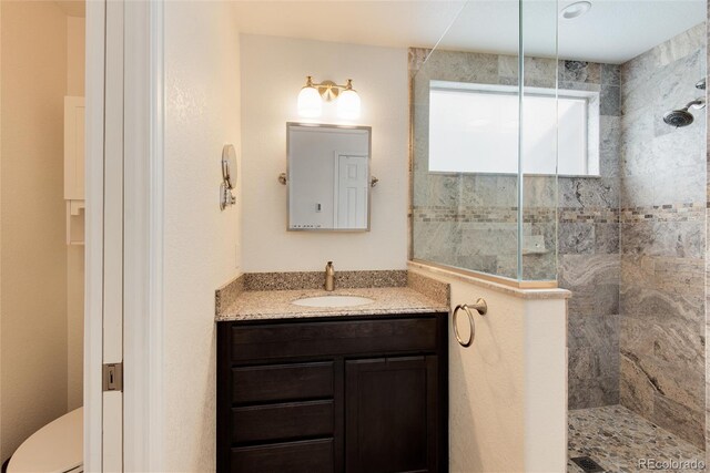 full bathroom featuring walk in shower, vanity, and toilet