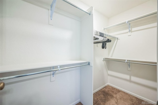 18211 E 51st Ave, Denver, CO 80249 - walk in closet featuring carpet flooring