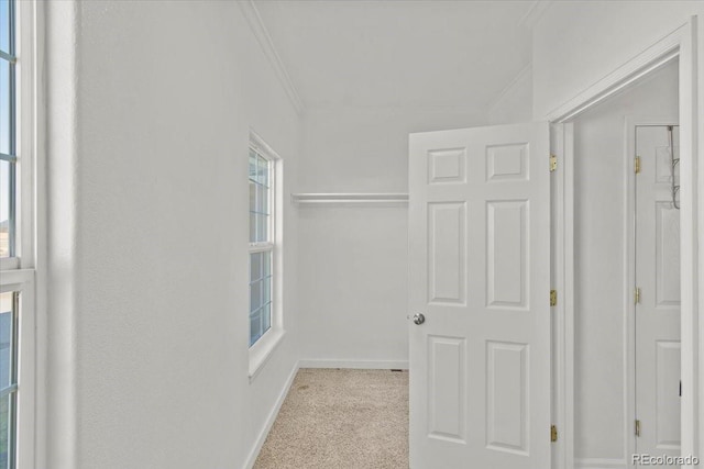 walk in closet with light carpet