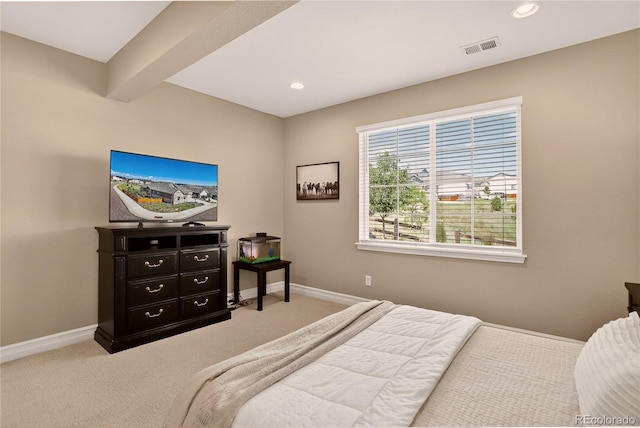 1057 Melting Snow Way, Castle Rock, CO 80109 - photo 34