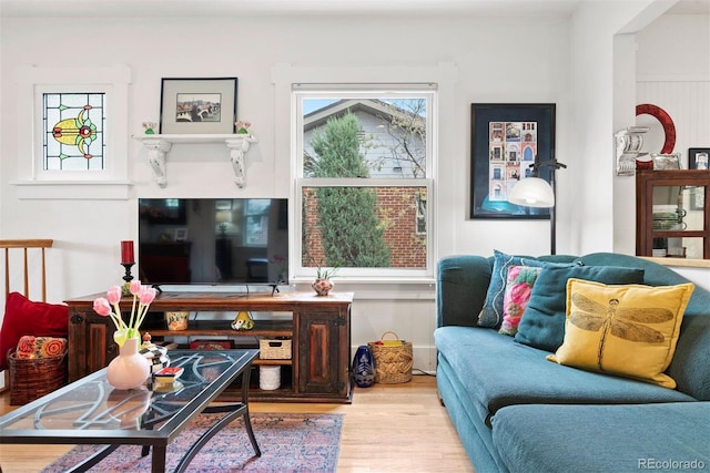 living area featuring wood finished floors