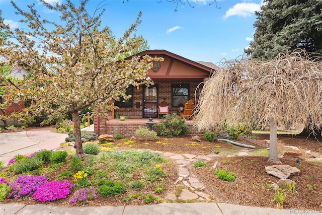view of front of house featuring covered porch and brick siding