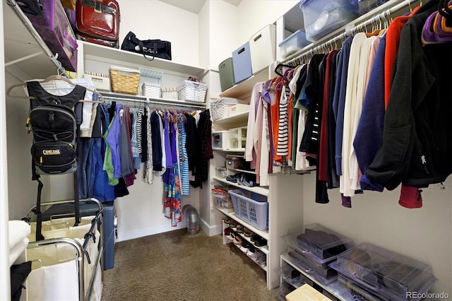 14443 W 88th Dr Unit B, Arvada, CO 80005 - walk in closet with carpet flooring