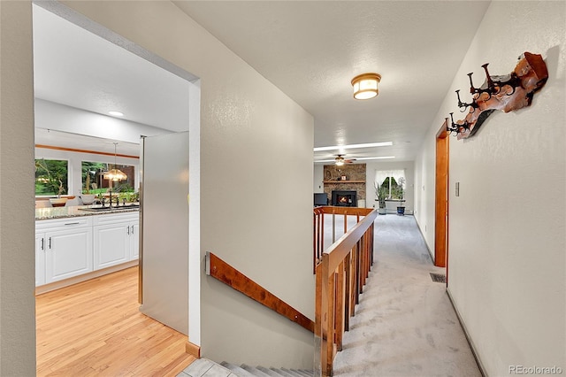 9229 Black Mountain Dr, Conifer, CO 80433 - photo 11