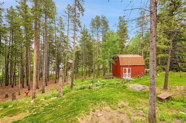 9229 Black Mountain Dr, Conifer, CO 80433 - photo 43