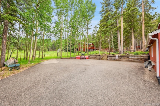 9229 Black Mountain Dr, Conifer, CO 80433 - photo 44