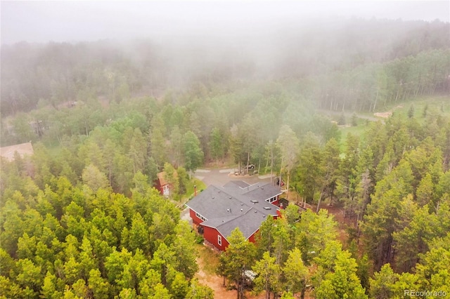 9229 Black Mountain Dr, Conifer, CO 80433 - photo 48