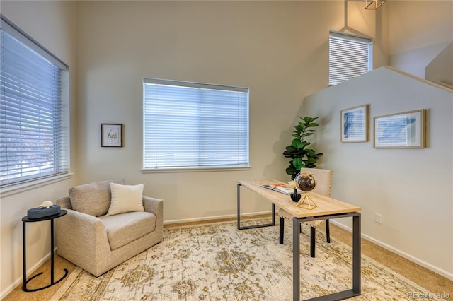 7345 S Nucla St, Aurora, CO 80016 - office featuring plenty of natural light, carpet, and a high ceiling