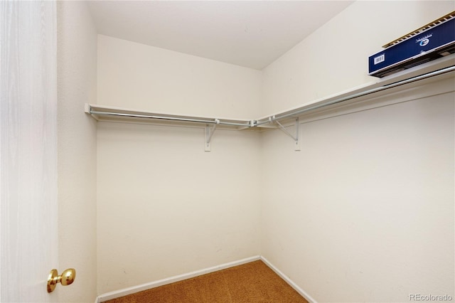 7345 S Nucla St, Aurora, CO 80016 - spacious closet with carpet flooring
