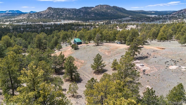 aerial view featuring a mountain view