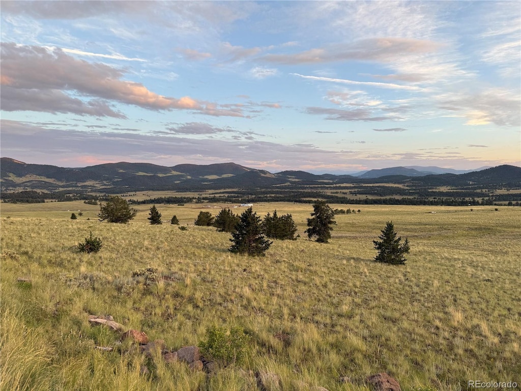 341 Lakeview Trl, Guffey, CO 80820 - photo 1