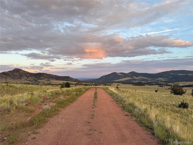 341 Lakeview Trl, Guffey, CO 80820 - photo 2